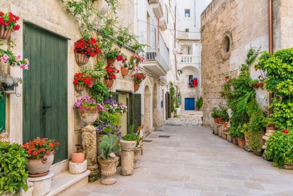 Il Mare In Citta. Appartamento Vista Mare Monopoli Bagian luar foto